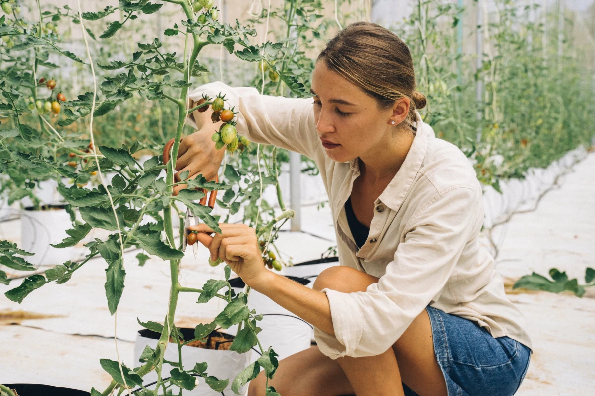 woman pruning plant