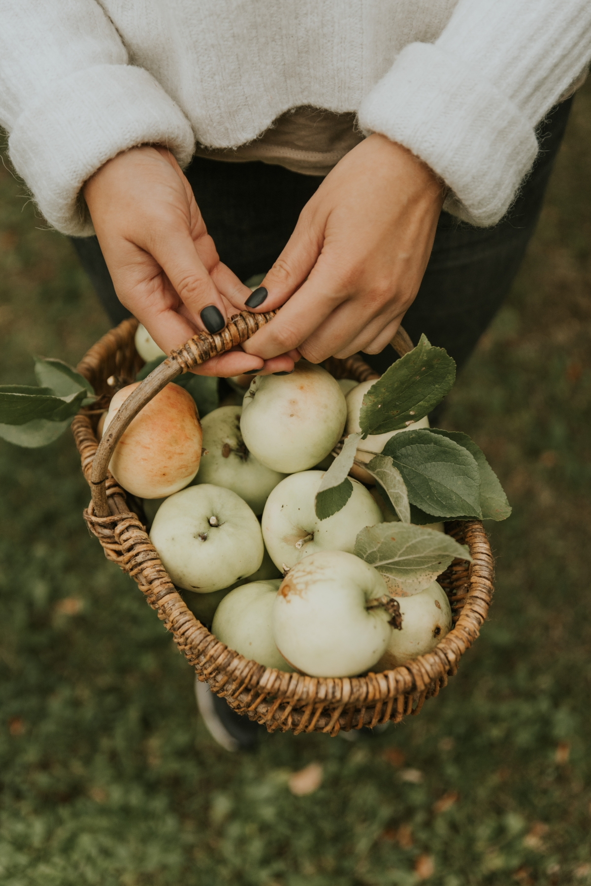 best fall foods to include in your diet