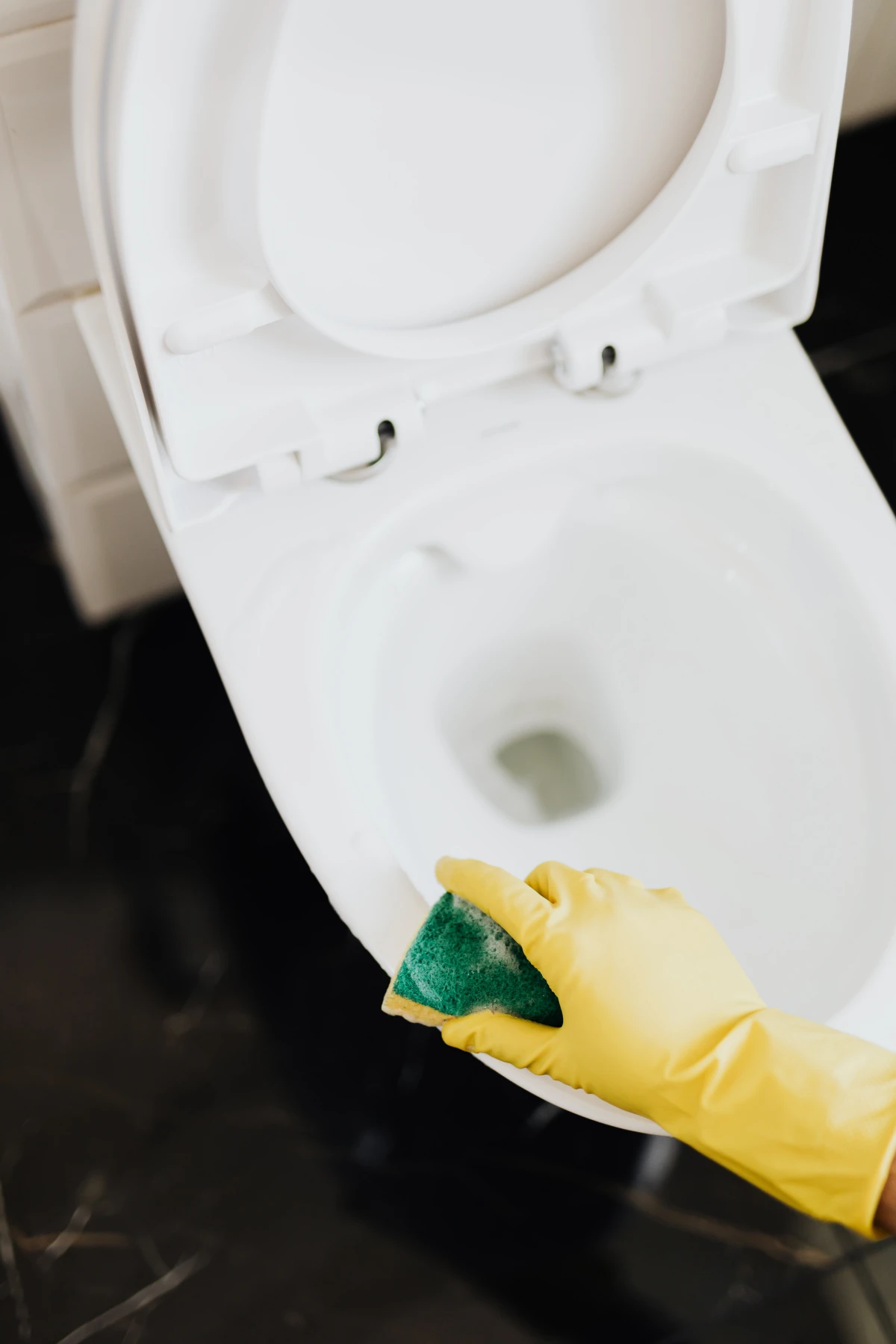 fall cleaning checklist cleaning the toilet