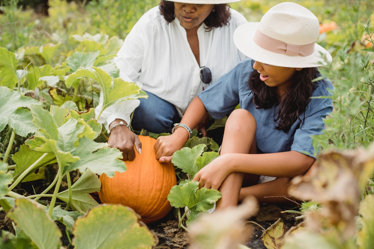 how to choose pumpkin for carving