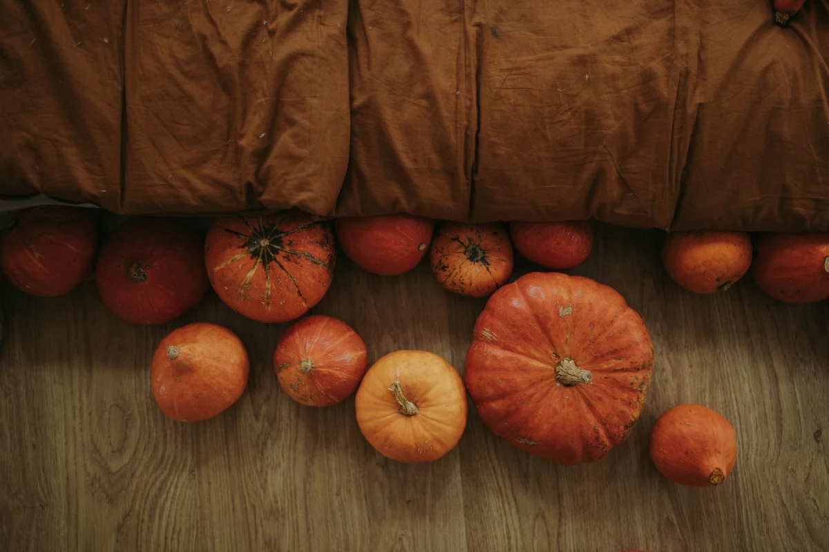 how to pick the perfect pumpkin