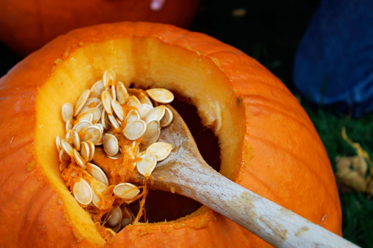 5 Ways To Use The Pumpkin Guts From Your Jack-O-Lantern