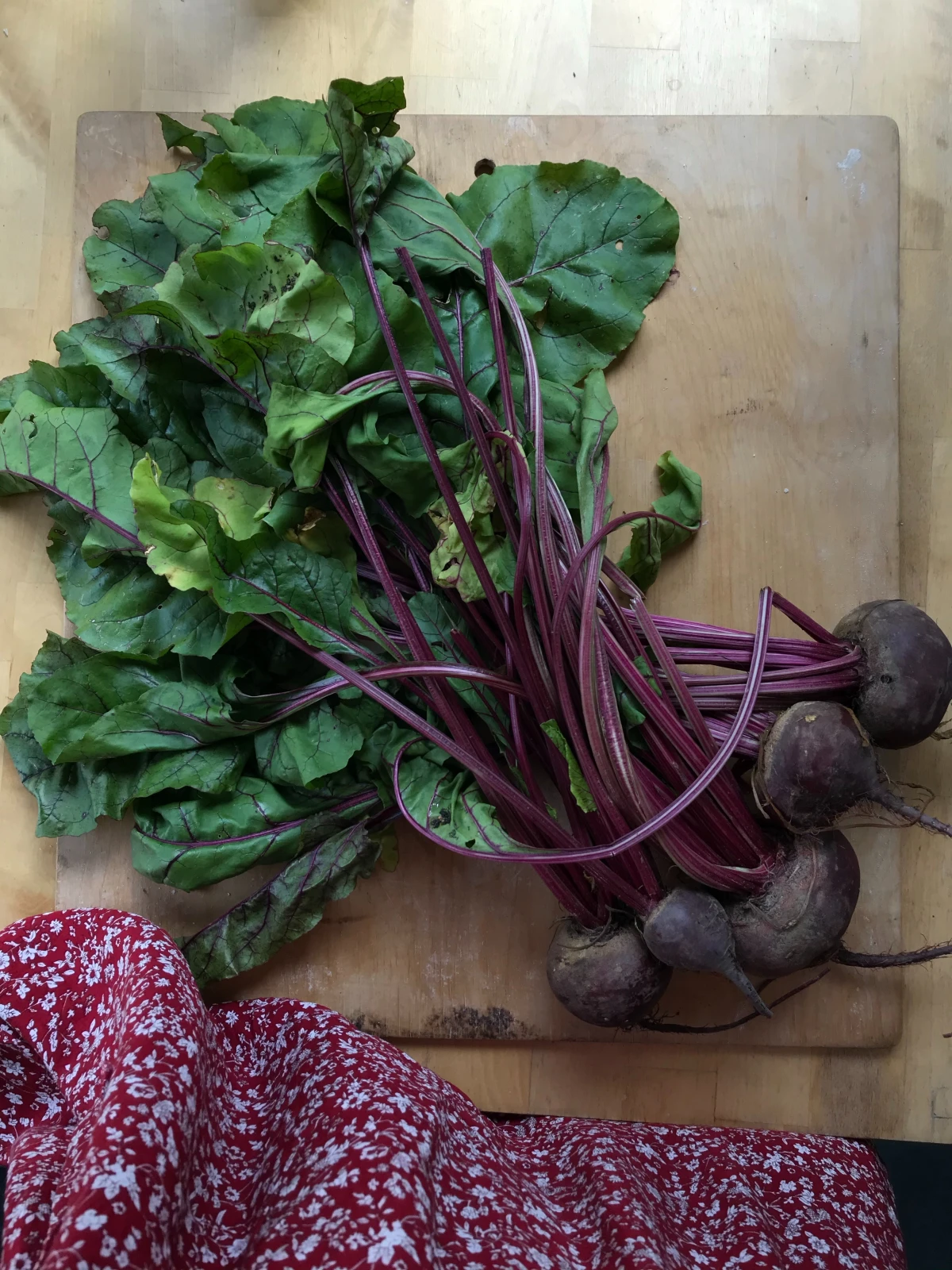 red beets with leaves