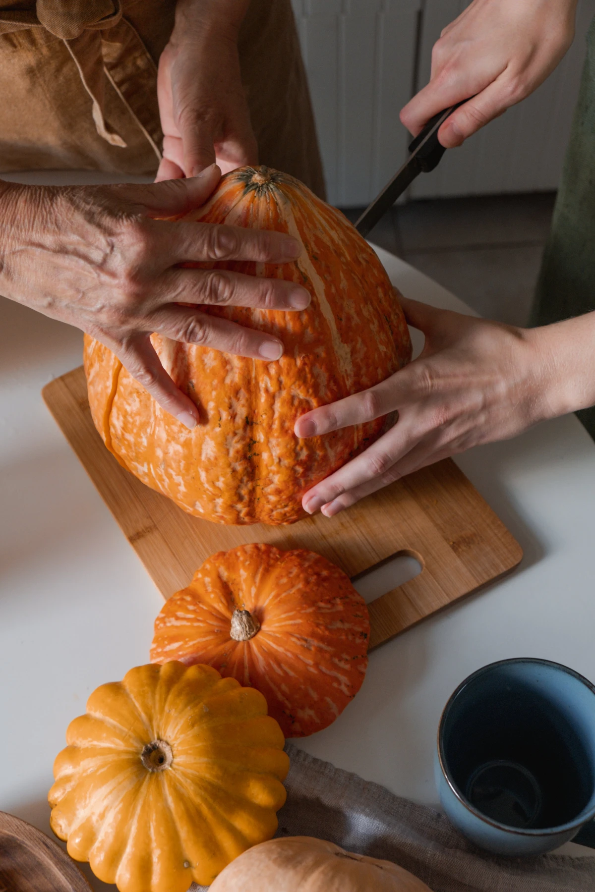 use pumpkin guts people cutting pumpkin