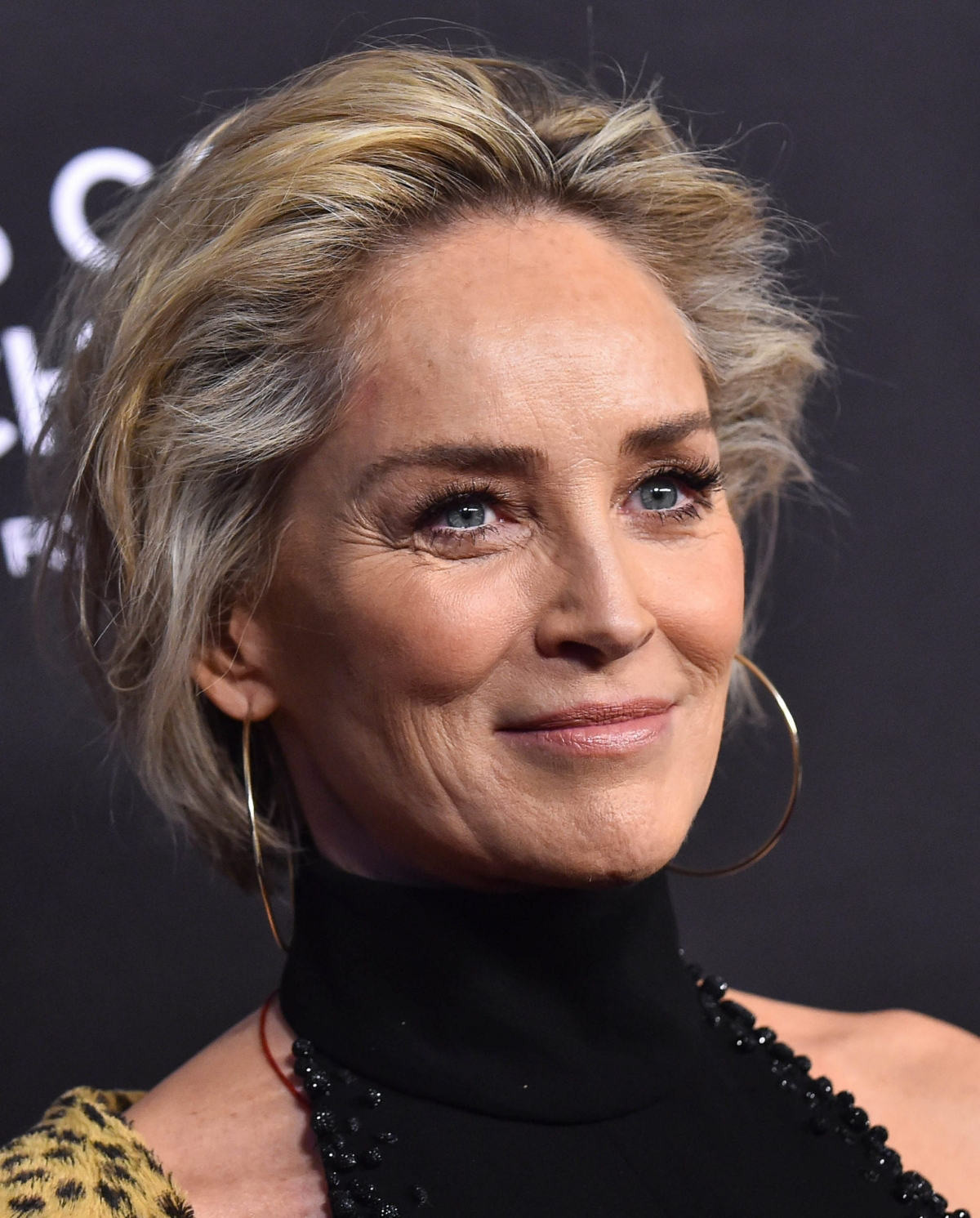 sharon stones hairstyles for women over 60 with fine hair