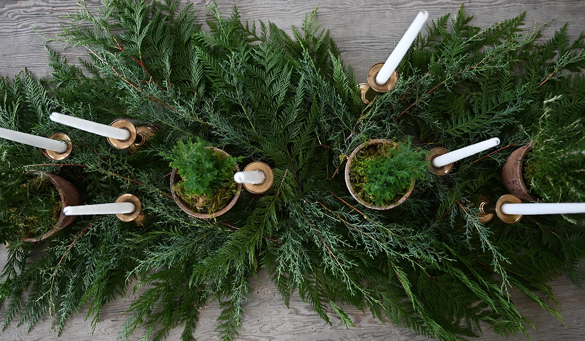 evergreen boughs with candles