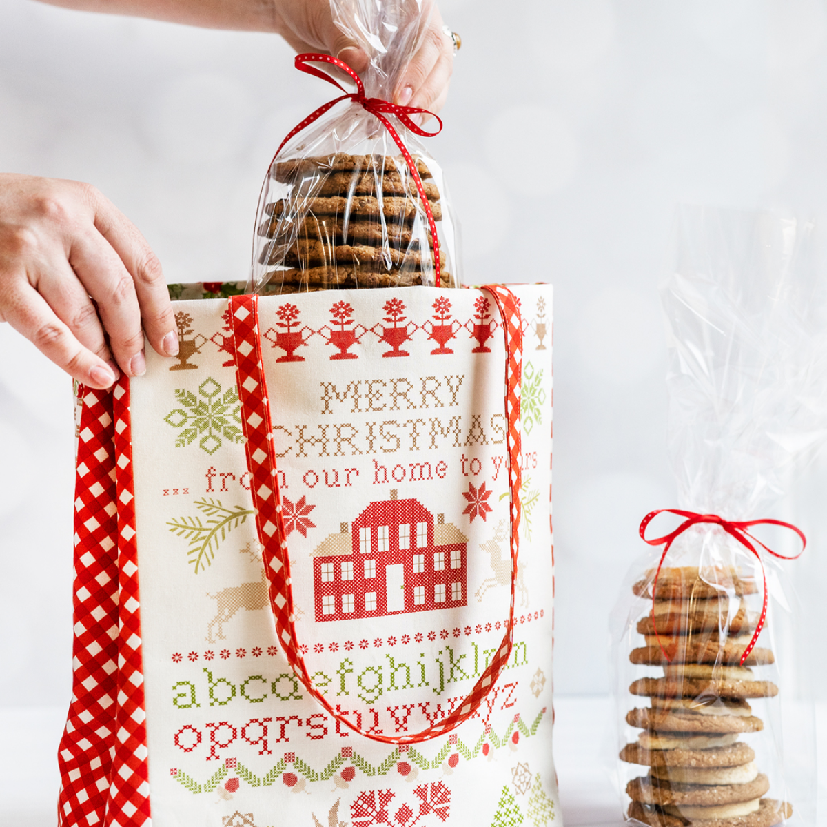 packaging for christmas cookies gift bag with cookies