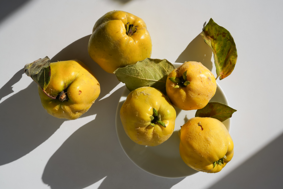 quince fruit on table
