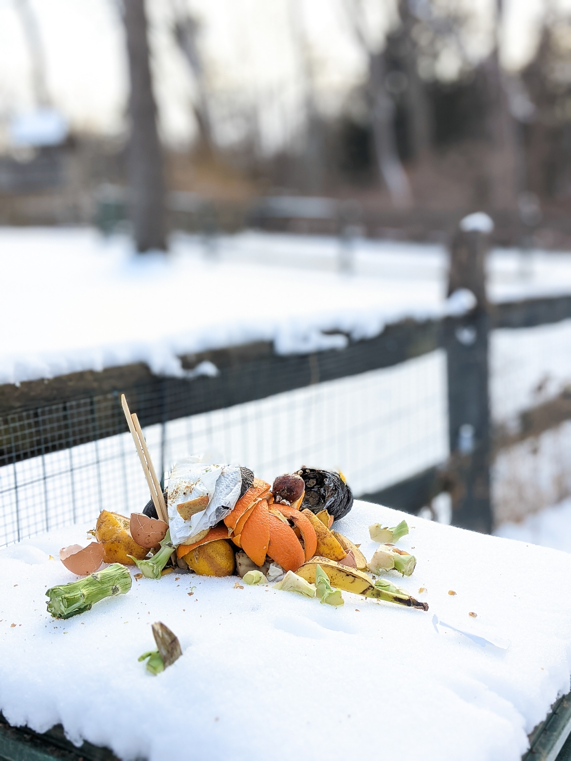 what do you do with your garden in the winter=composting