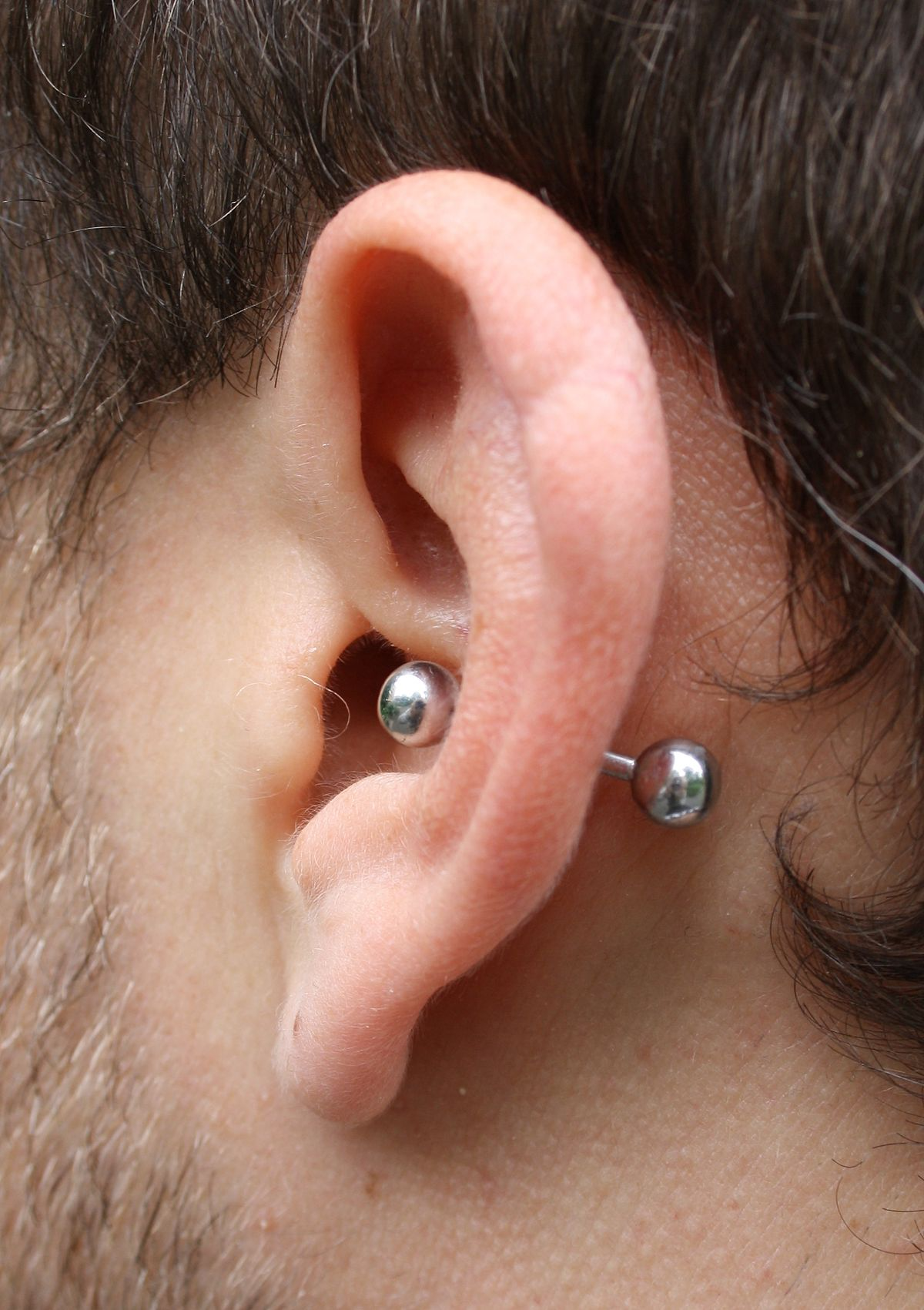 barbell conch piercing