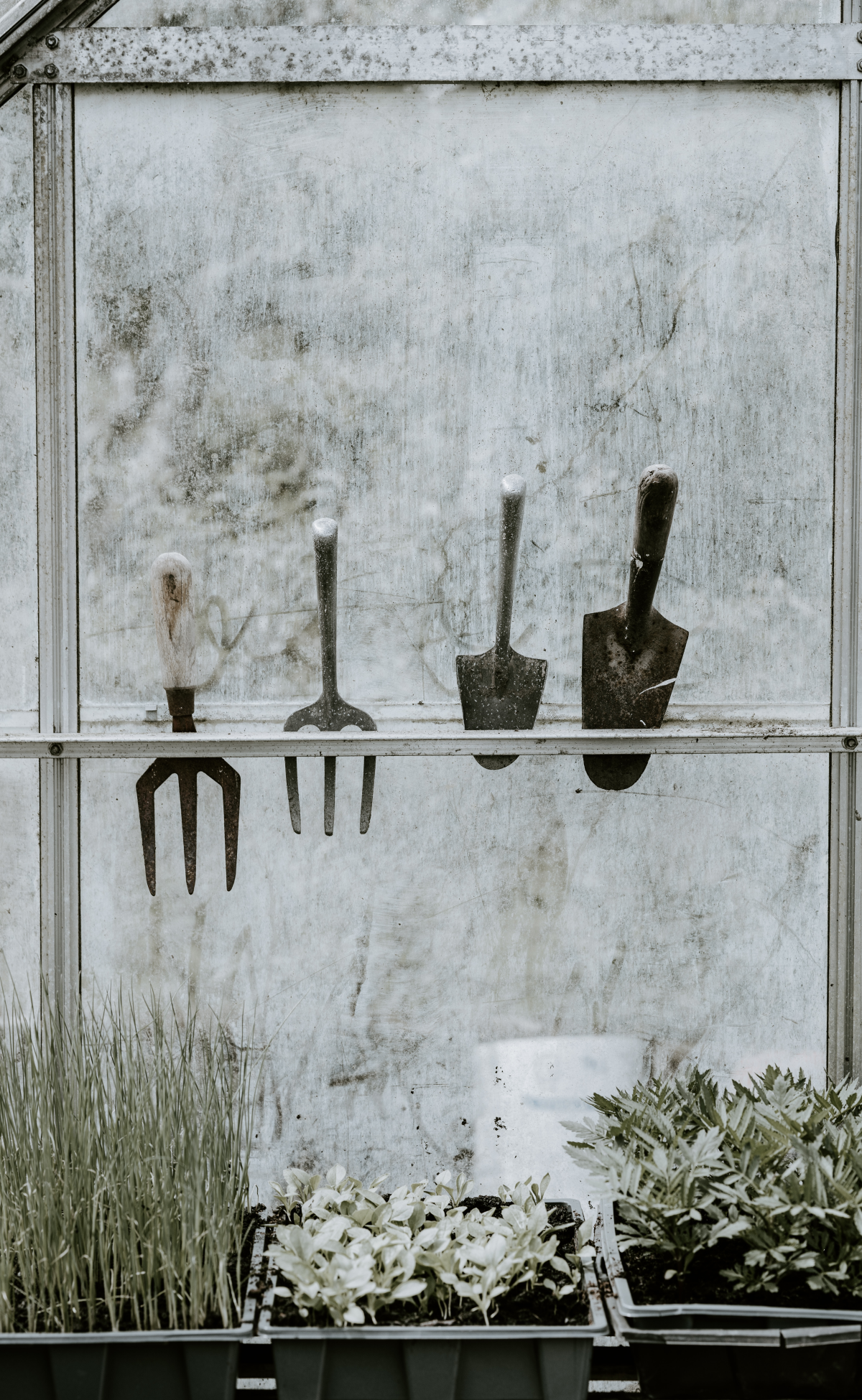 garden tools in shed