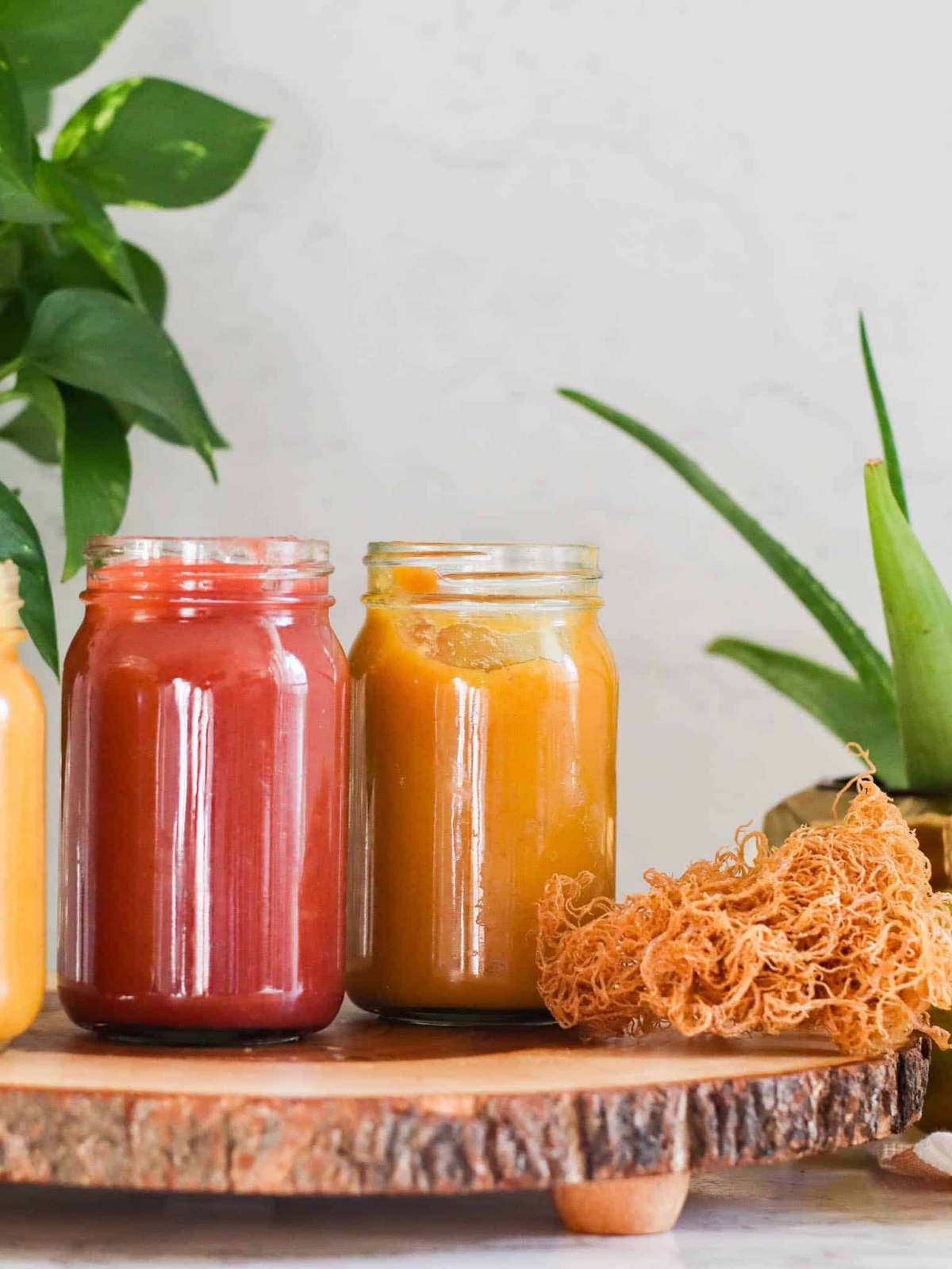 Your Guide to All Things Sea Moss: Benefits, Uses, How to Make