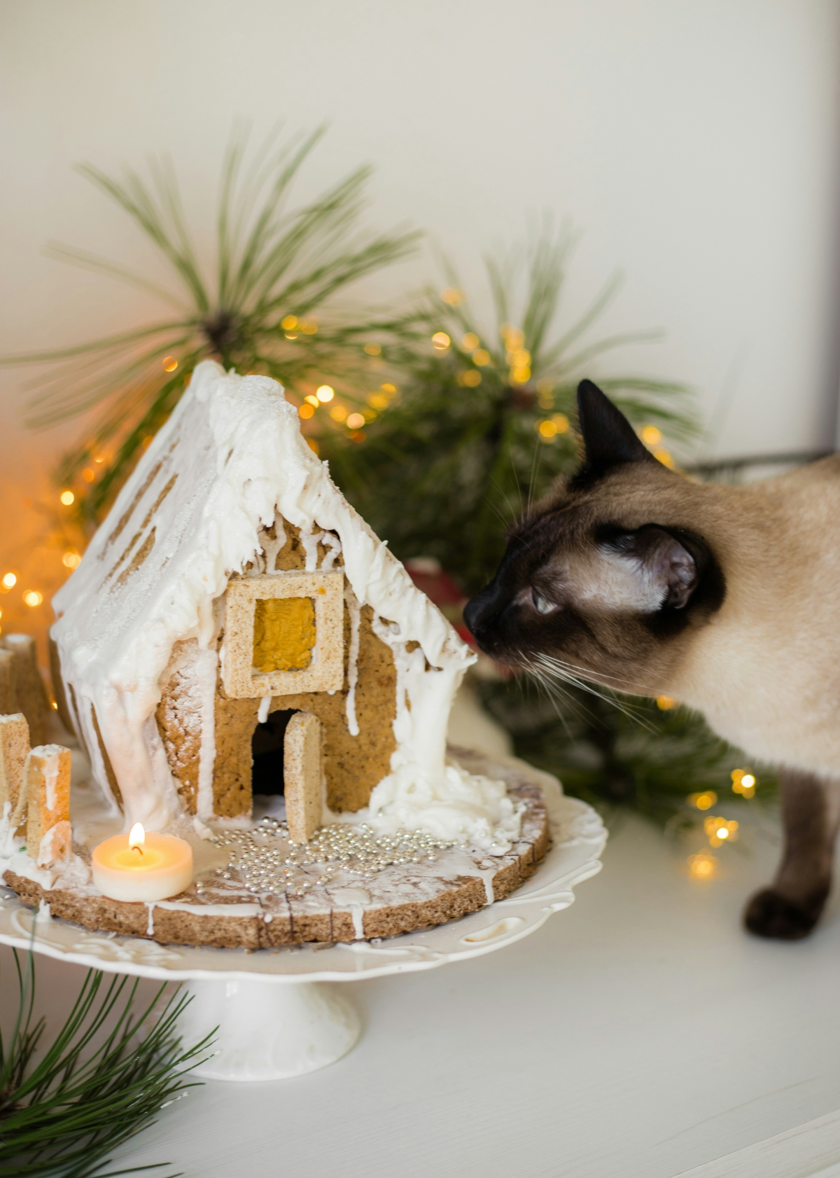 how to make a gingerbread house