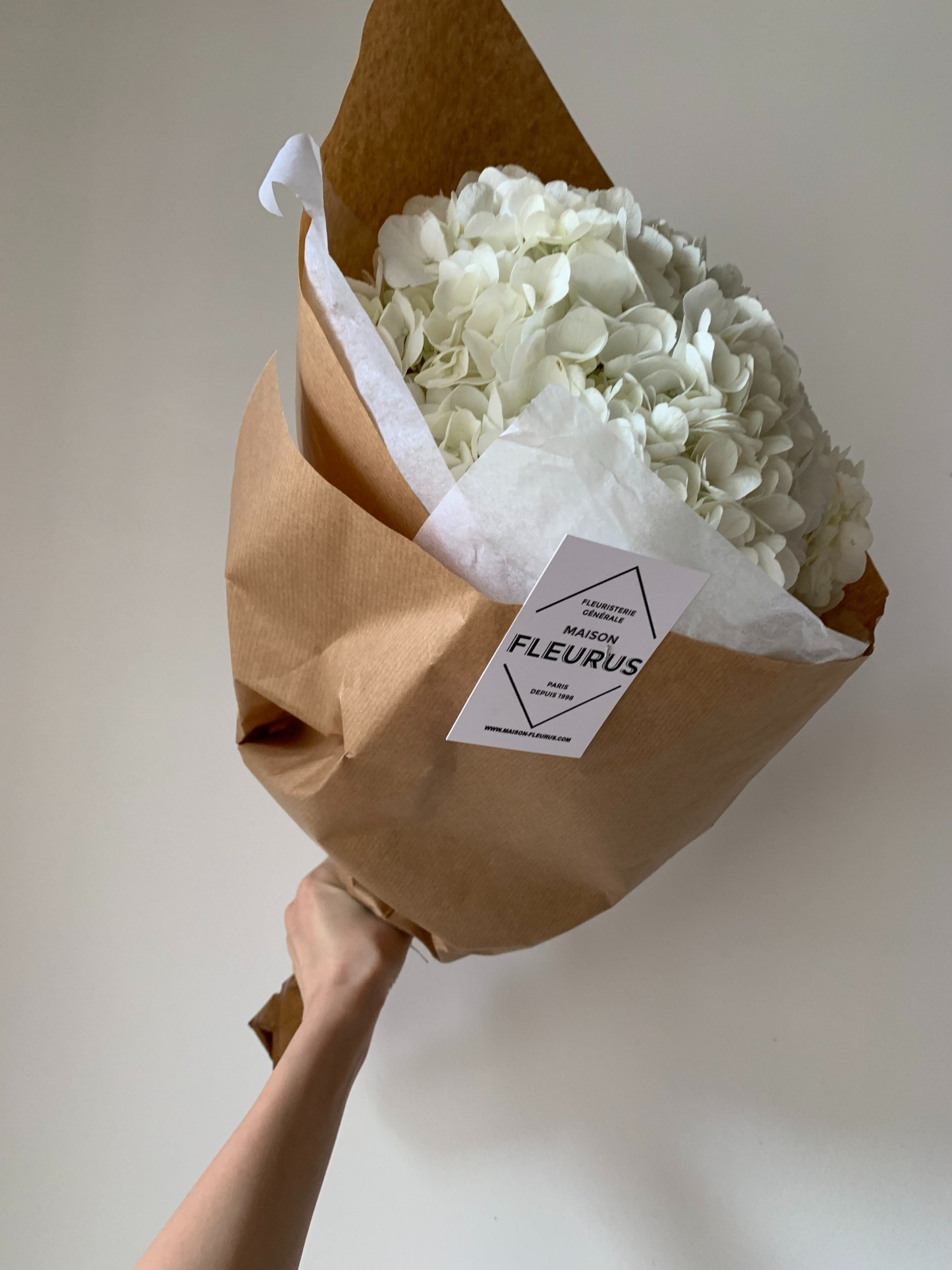 how to revive wilted cut hydrangeas