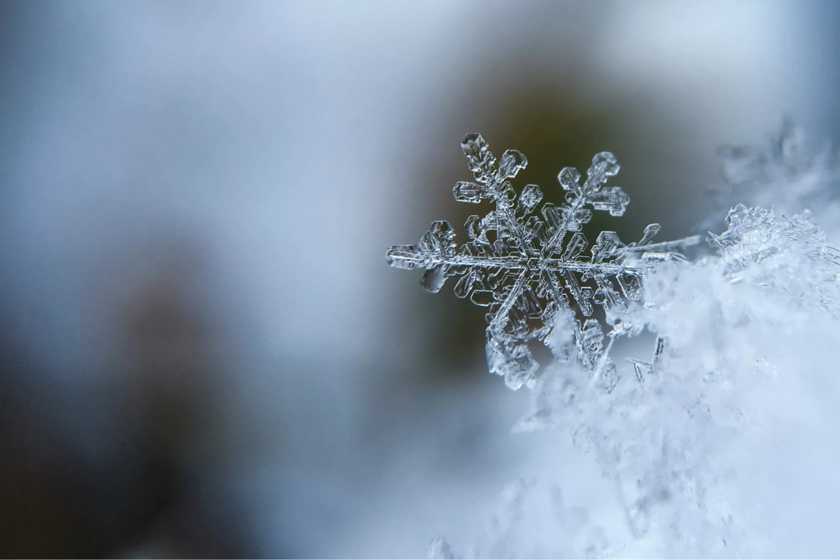 how to winterize a sprinkler system snowflakes