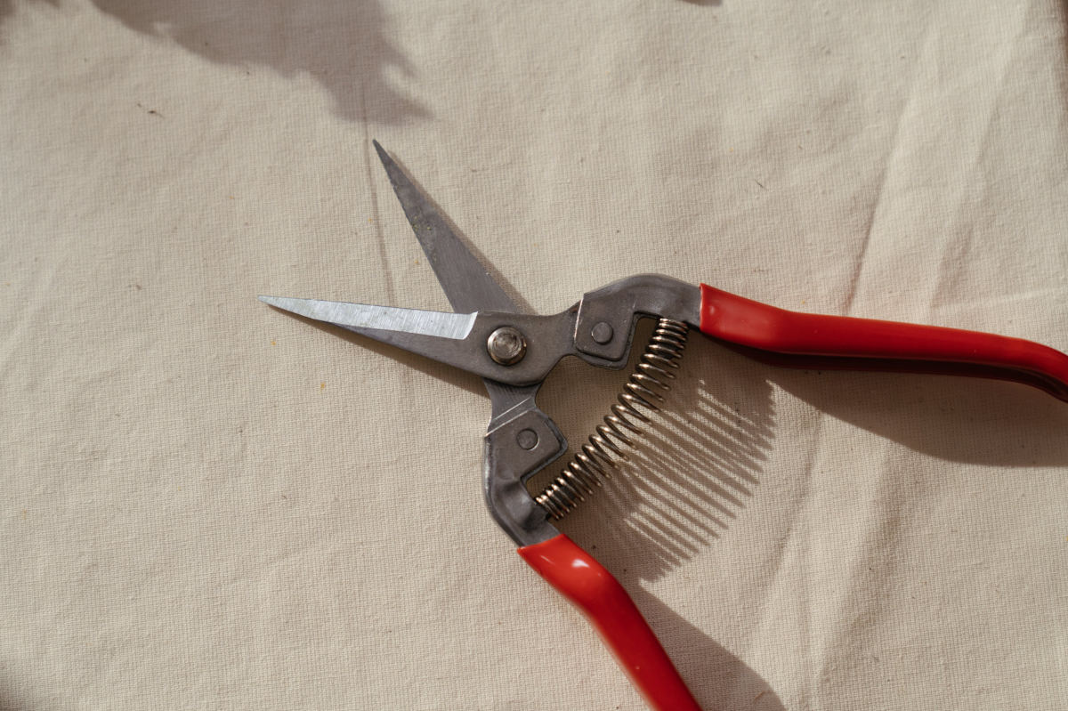 pruning shears on white cloth