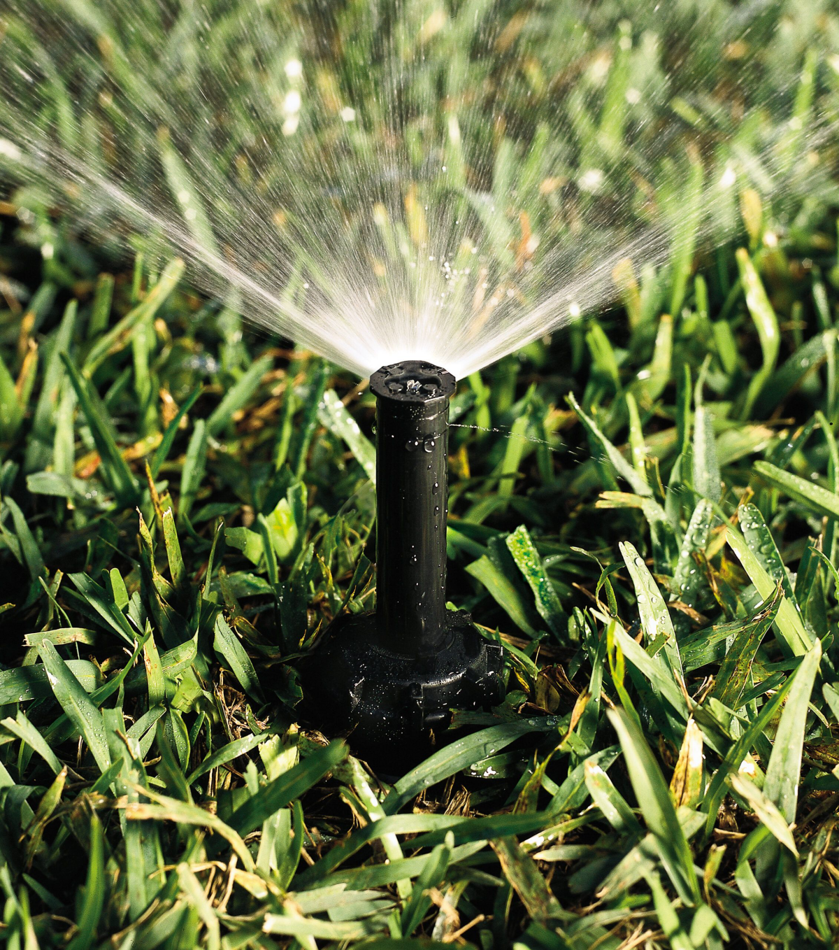 small sprinkler on lawn