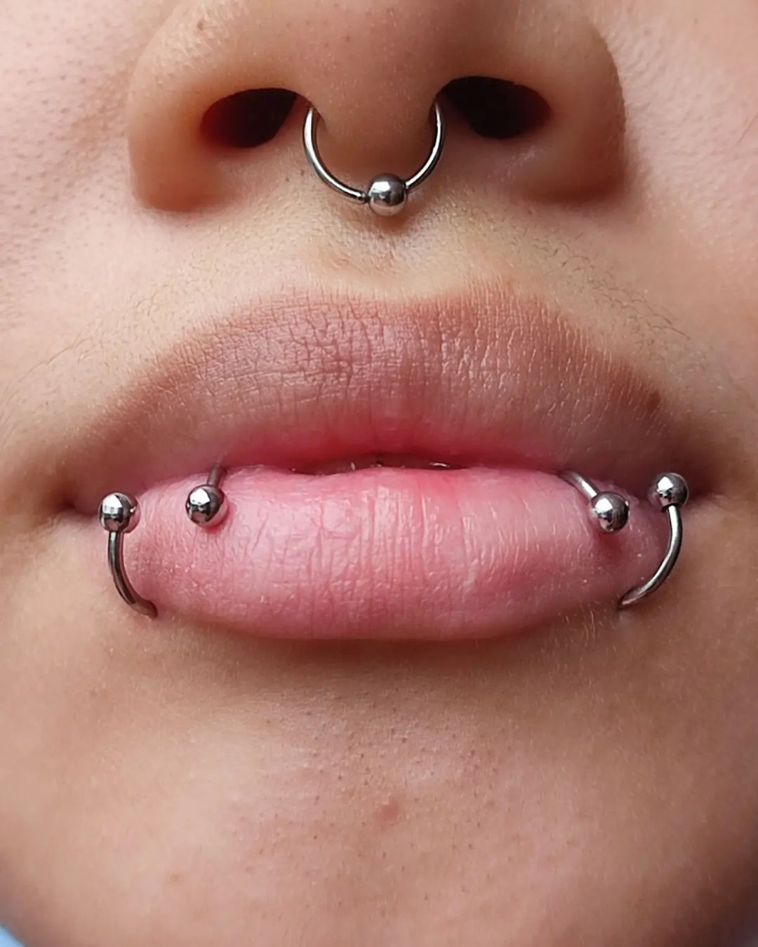 snake bites piercing jewelry