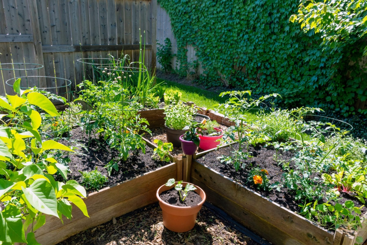 what to avoid raised bed gardening