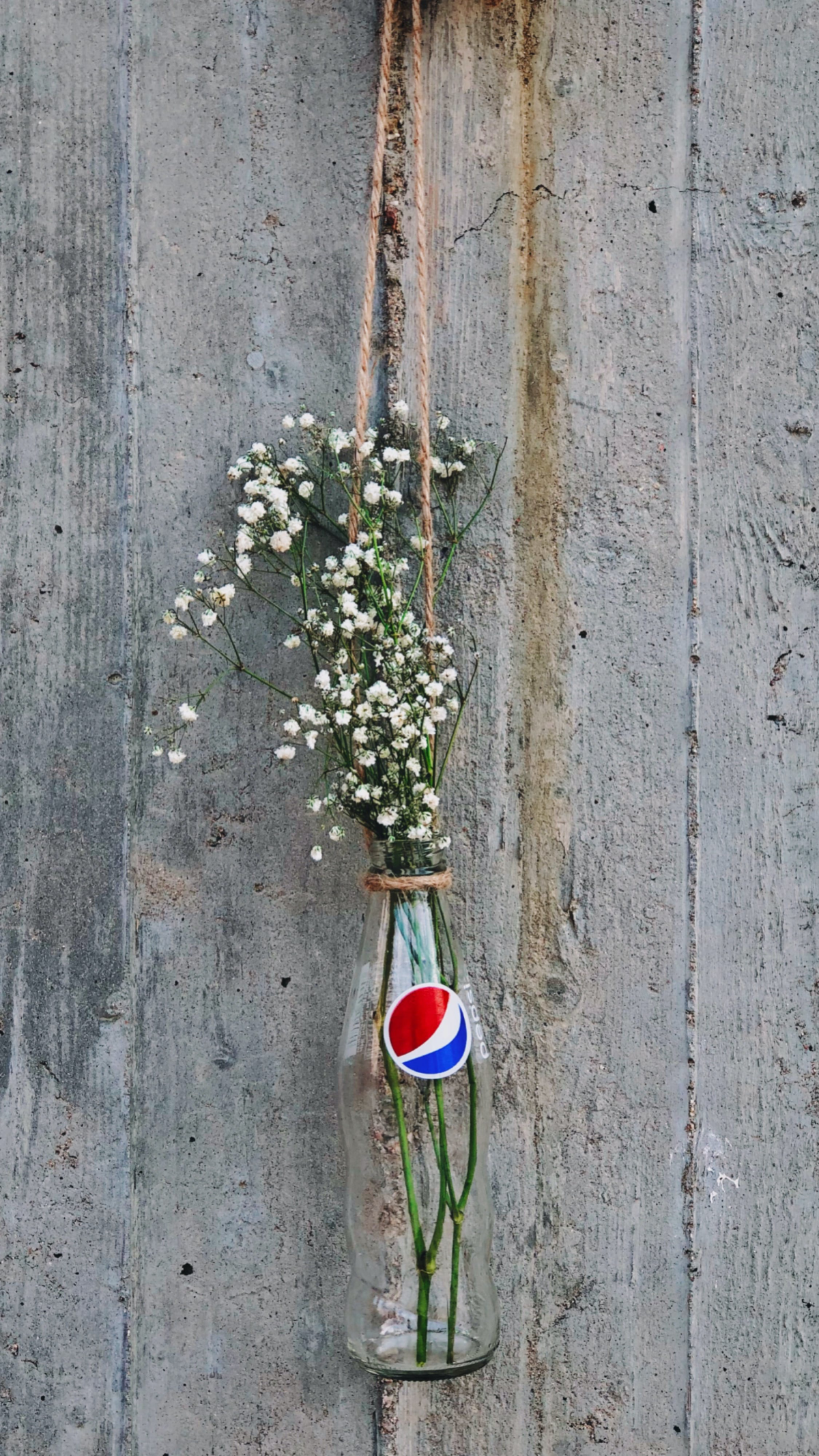 babys breath in a pepsi bottle