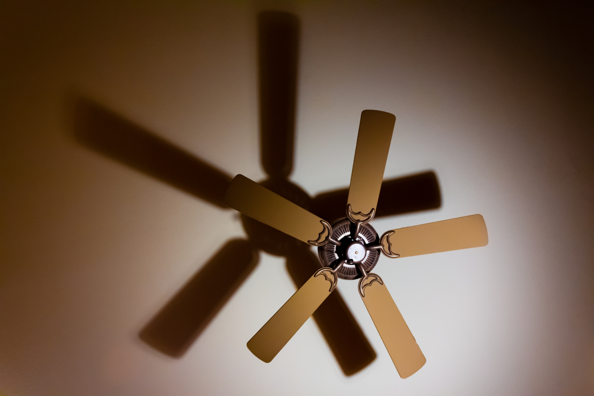 ceiling fan in brown