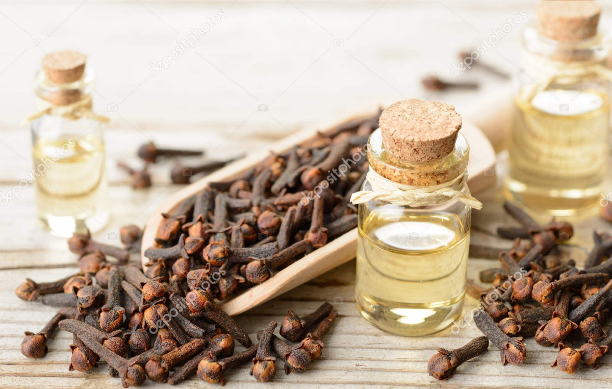 clove oil and cloves