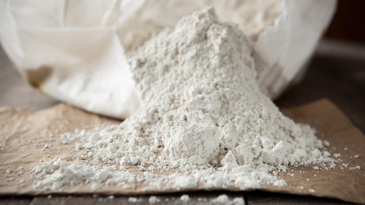 diatomaceous earth white powder