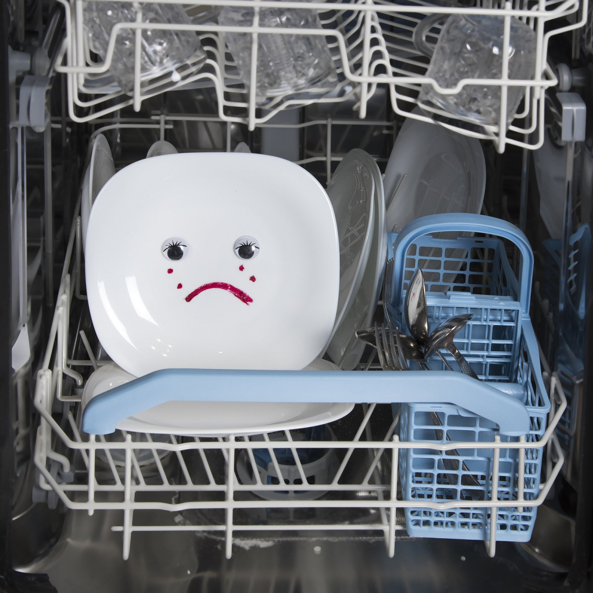 dishwasher not draining dishwasher with sad plate