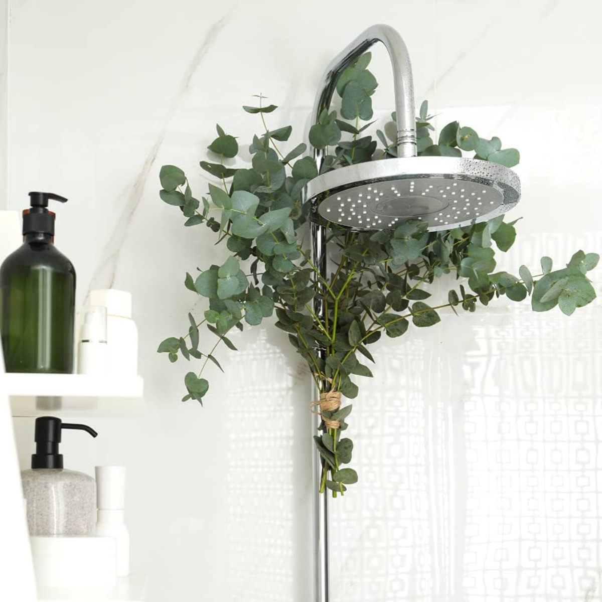eucalyptus plant on shower head