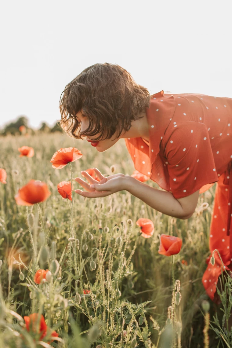 flower poppy meaning