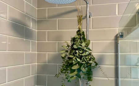 fresh eucalyptus in the shower