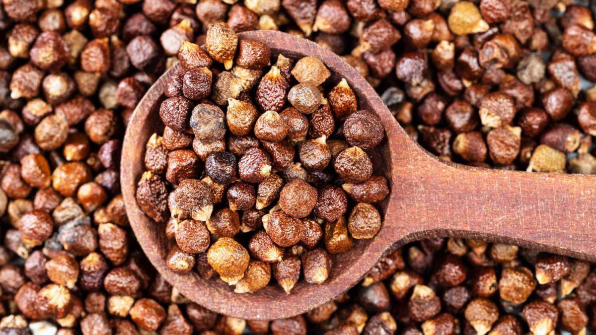 Grains Of Paradise: Your Guide To The New Spice Obsession