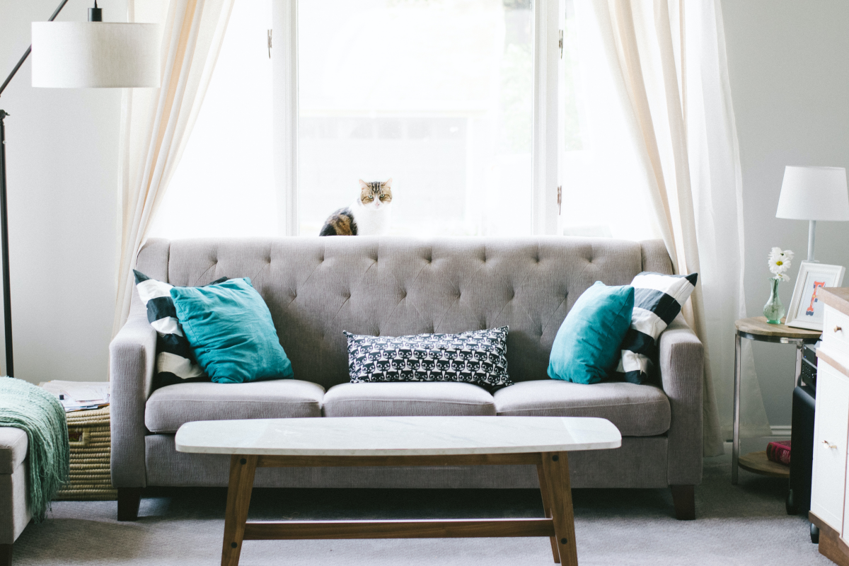 gray couch with blue pillows