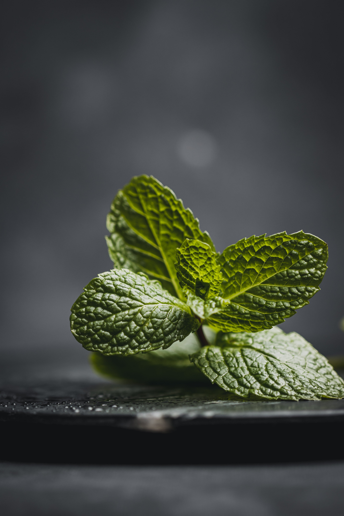 green peppermint leaves