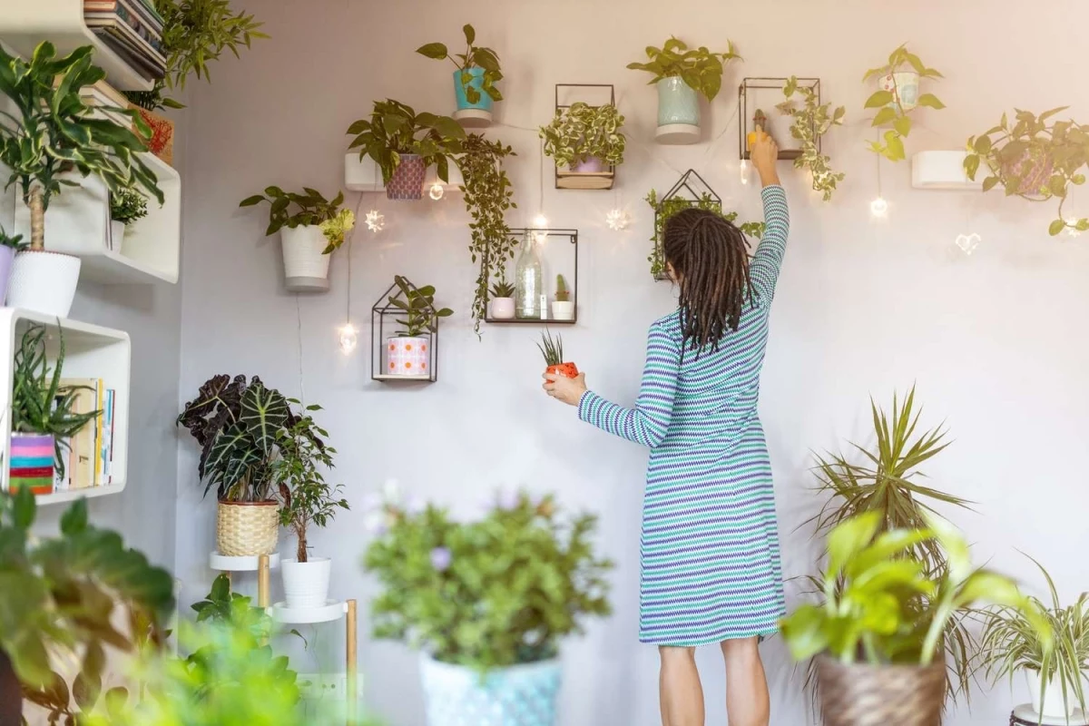 hang plants on the wall