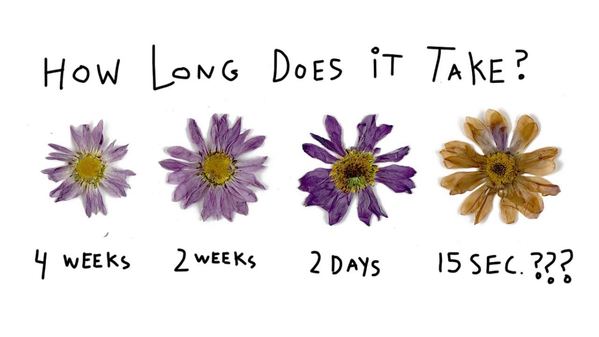 how long to press flowers