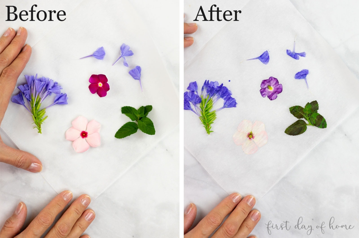 how to dry and press flowers