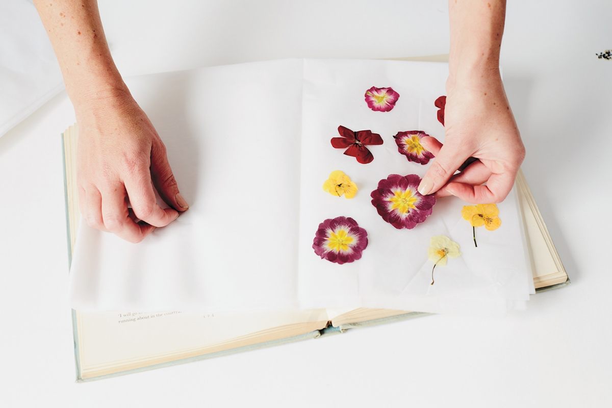 how to dry press flowers