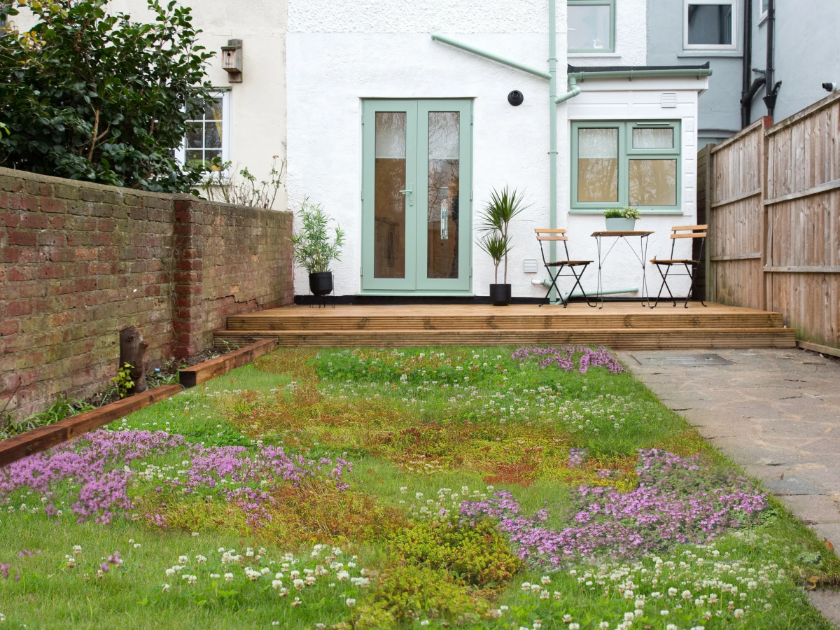 how to make a wildflower meadow in a lawn