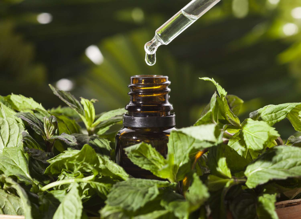 how to make peppermint oil oil with peppermint