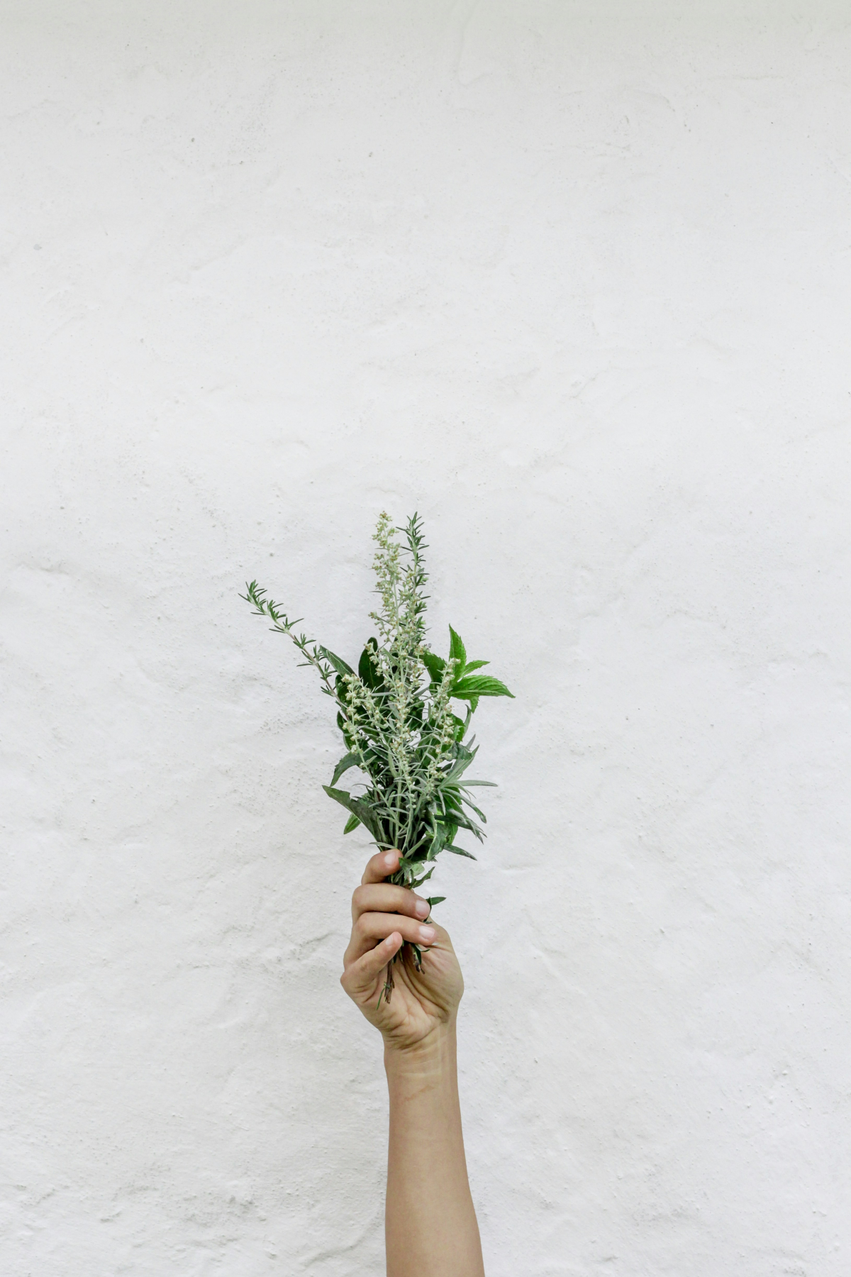 how to make peppermint oil person holding a bouquet of peppermint
