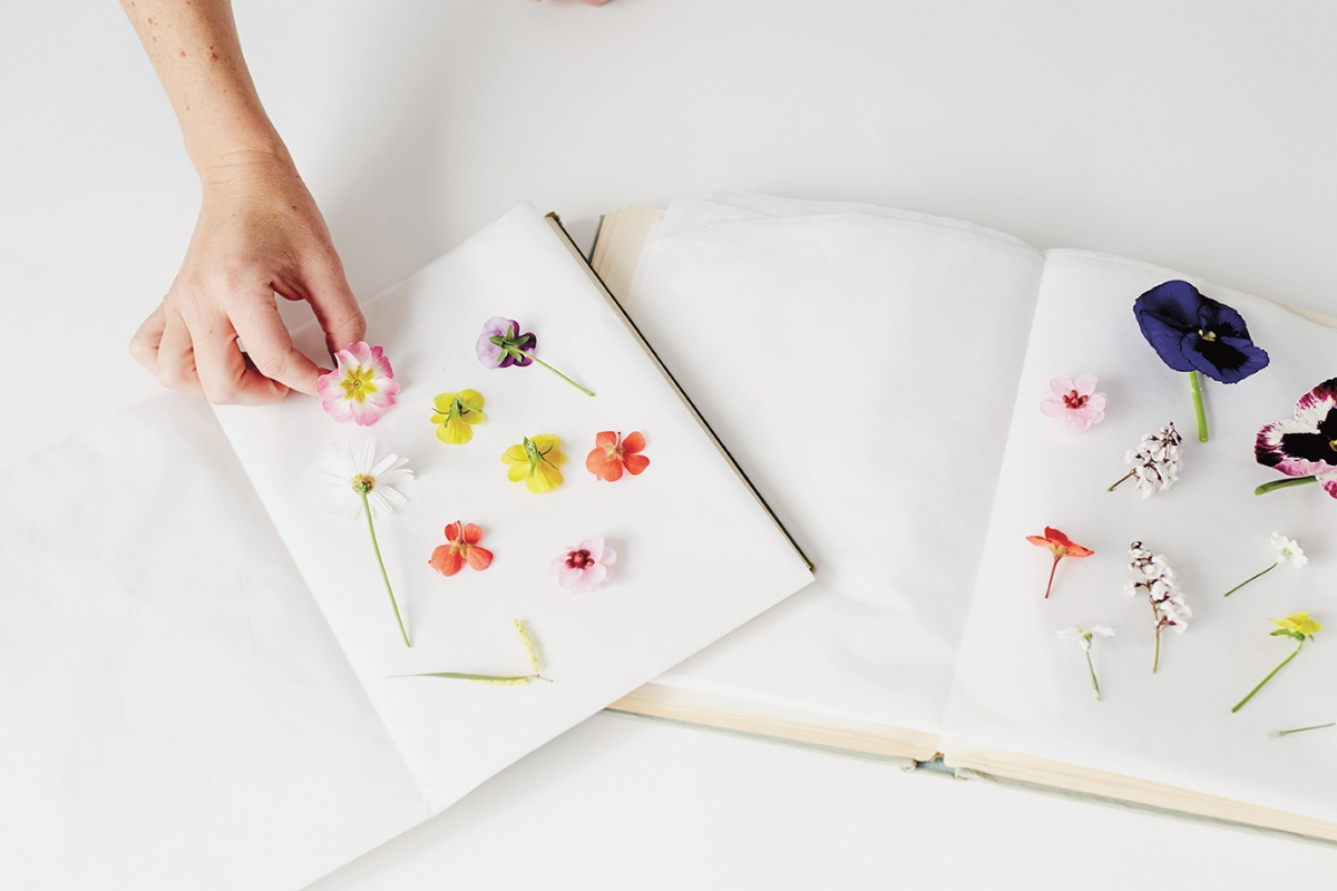 how to make pressed flowers
