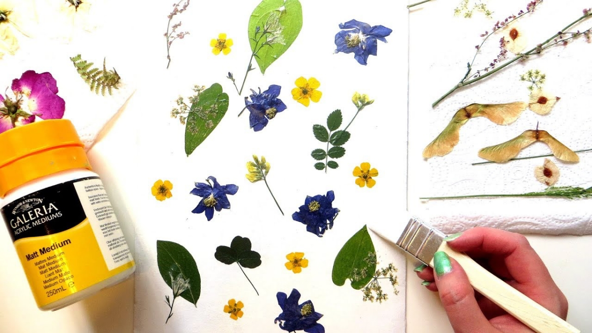 how to preserve pressed flowers