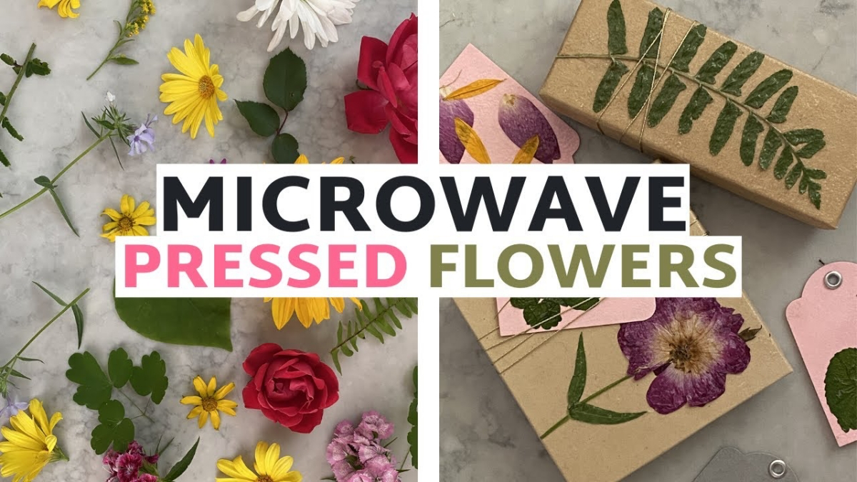 how to press flowers in the microwave