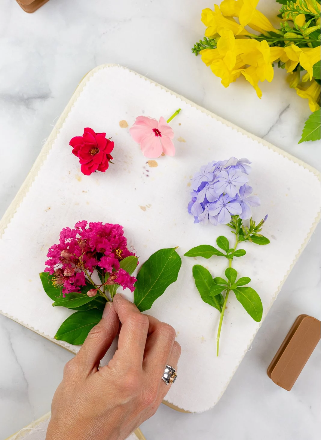 how to press flowers without turning brown
