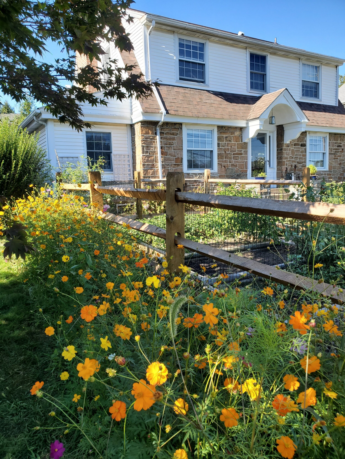 how to replace lawn with wildflowers