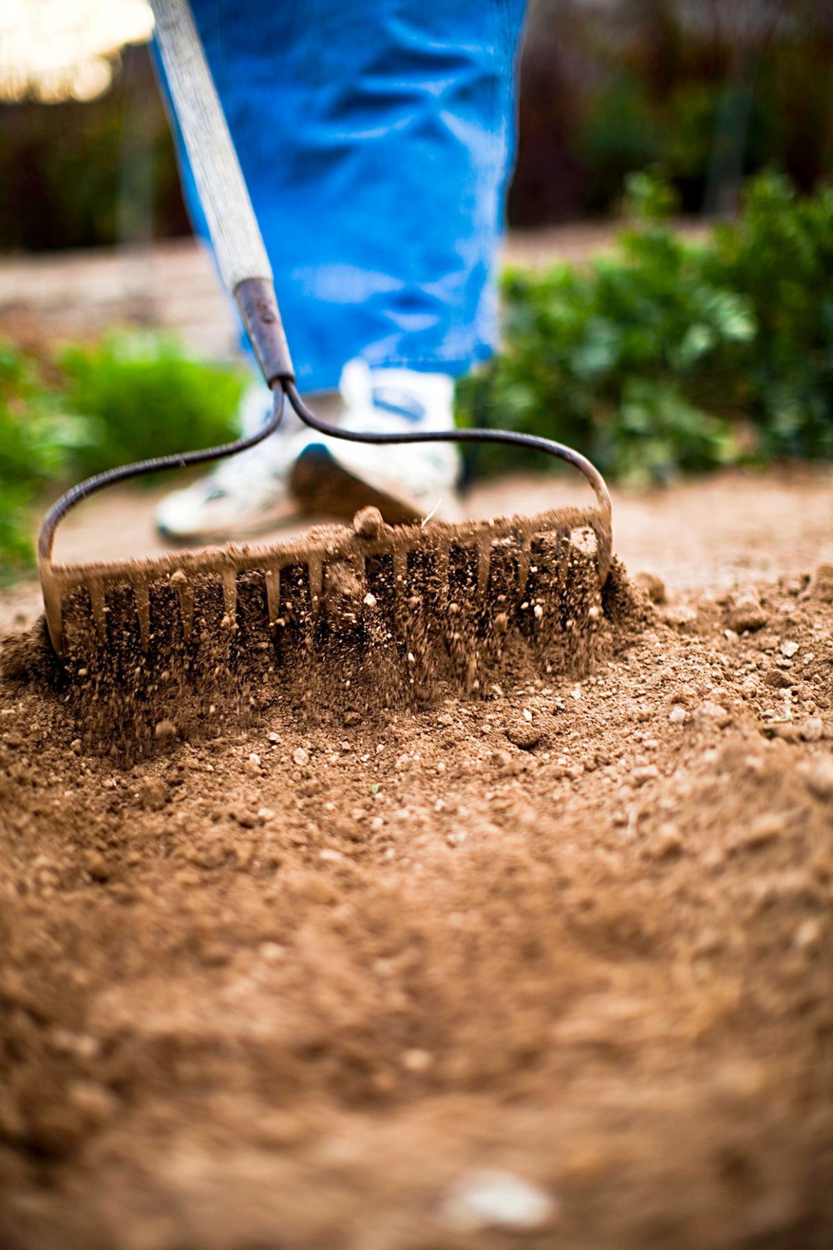 how to turn over soil person tilling soil