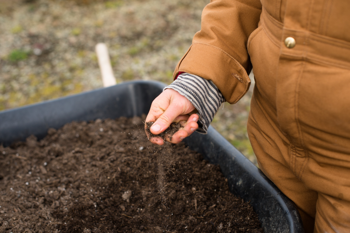 how to turn over soil person touching soil