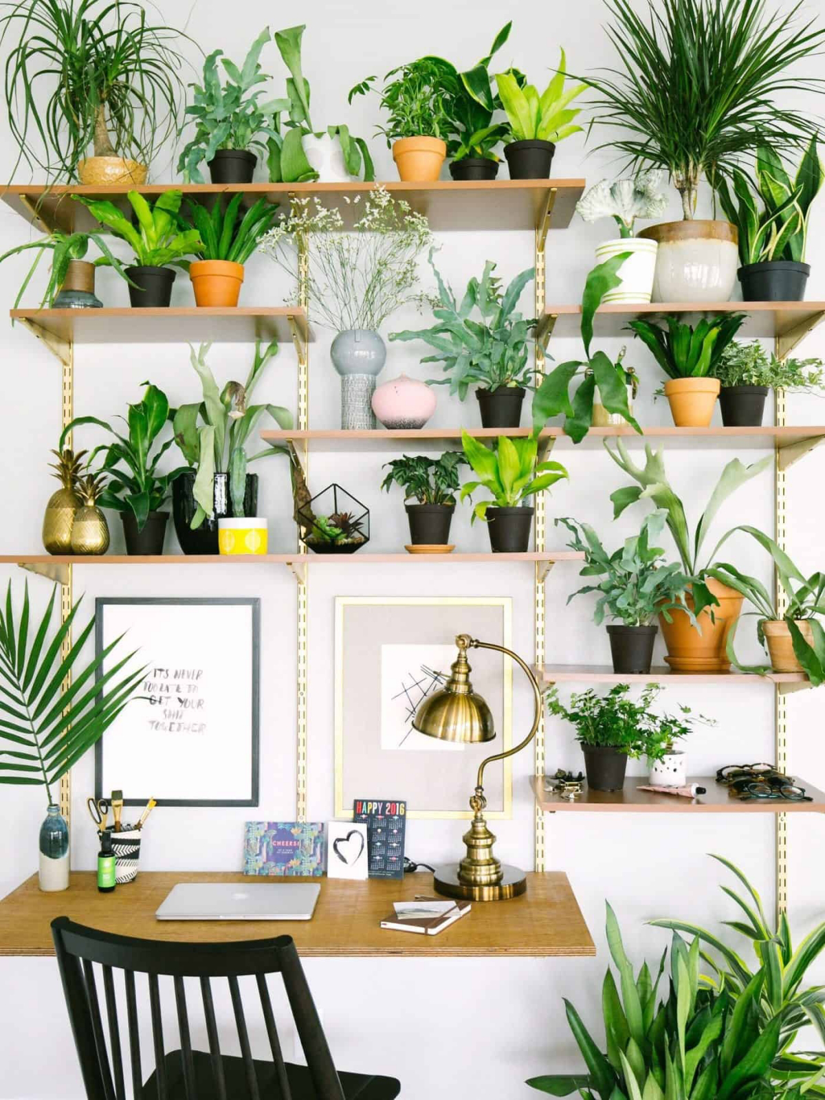 indoor plant wall ideas