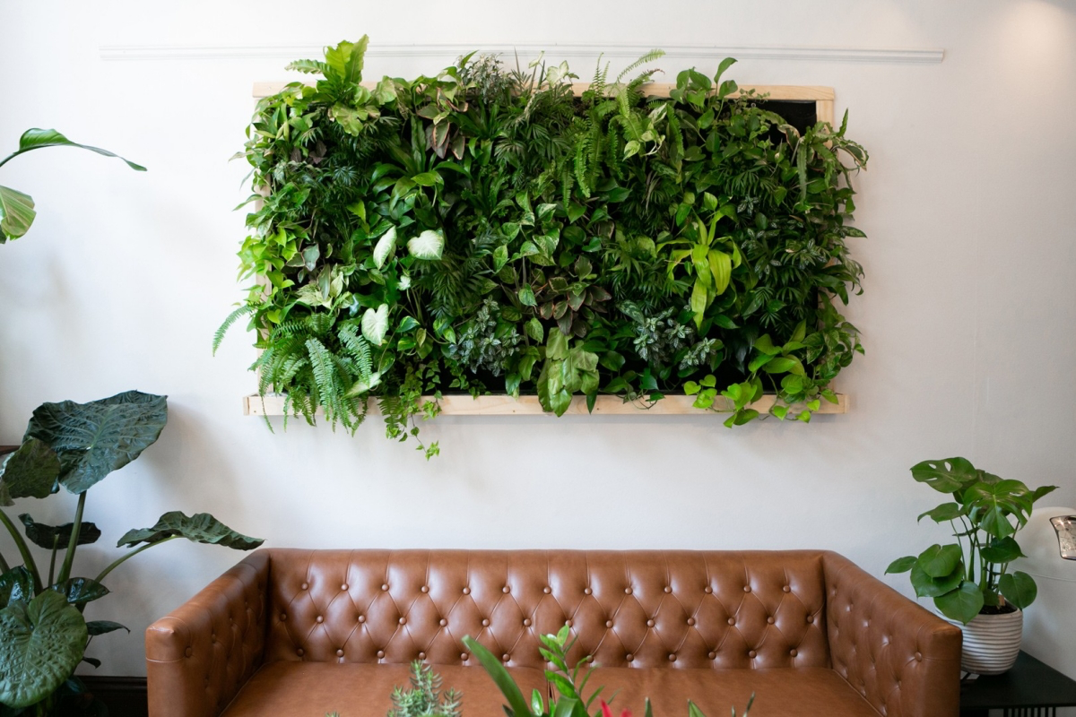 indoor plant wall
